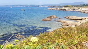 Six-Fours-les-Plages – température, climat et météo toute l’année
