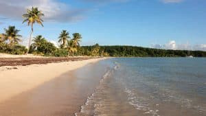 Vieques – température, climat et météo toute l’année