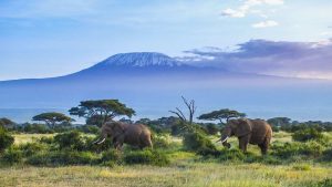 Kilimanjaro National Park – température, climat et météo toute l’année