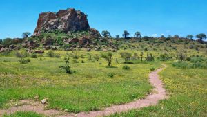 Mapungubwe National Park – température, climat et météo toute l’année