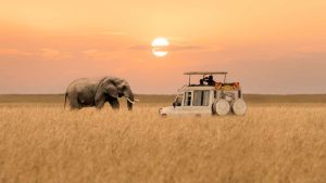 Masai Mara National Reserve – température, climat et météo toute l’année