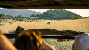 Pilanesberg National Park – température, climat et météo toute l’année