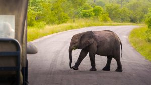 Météo à Selous Game Reserve en décembre 2025