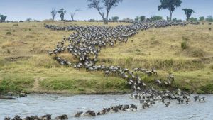 Météo à Serengeti National Park en février 2026