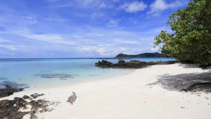 Meemu – température, climat et météo toute l’année
