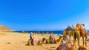Ţābā – température, climat et météo toute l’année