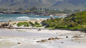 Hermanus – température, climat et météo toute l’année