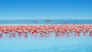 Nakuru – température, climat et météo toute l’année